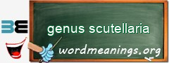 WordMeaning blackboard for genus scutellaria